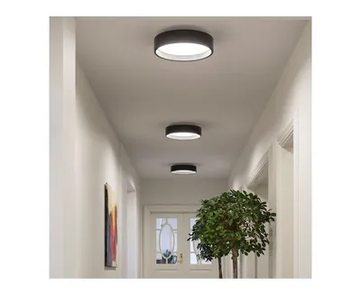 Настенно-потолочный светильник Lightstar Alta qube 104010, G9, 40 Вт —  купить оптом от официального производителя | Lightstar Group