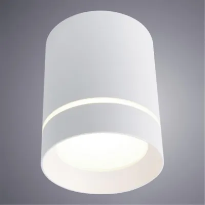Накладной потолочный светильник Arte Lamp A1949PL-1WH ELLE светодиодный LED  9W от официального дилера Arte Lamp