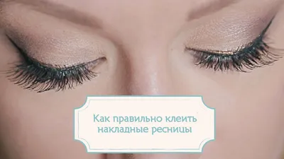 ZIDIA Cluster Lashes 20D C 0,10 Mix (3 ленты, размер 8, 10, 12 мм) –  zidiaofficial