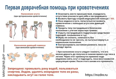 Эссе о наложении жгута