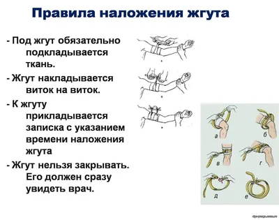 Тренажёр Михайлова для обучения и развития навыков наложения  кровоостанавливающего жгута