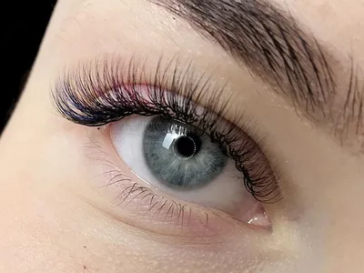 wow_mylashes_wow - 🤯У Вас длинные и прямые(вниз смотрящие) ресницы?По этой  причине длину просто не видно,кажется,что ресниц мало.И Вы не знаете что с  ними делать? Но при этом не наращиваете ресницы и хотите