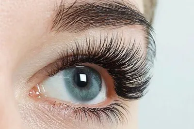 Brow Boom Eyebrow Extensions - Наращивание нижних ресниц. 🖍Расскажем о  преимуществах: 1. Самый главный и важный - визуальное нивелирование темных  кругов под глазами❗️. Да да), это ещё один проф.приём неочевидный для  непрофессионалов.