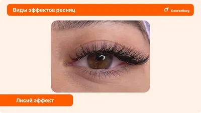 Эффекты наращивания ресниц | Bello Lashes