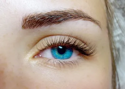 РЕСНИЦЫ | ЛАМИНАЦИЯ | ОБУЧЕНИЕ (@lashes_aigerym) • Instagram photos and  videos