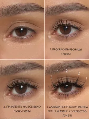 Курс повышения квалификации для лешмейкеров | Bello Lashes