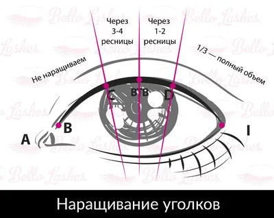 Наращивание ресниц поресничное (норка) и пучковое - «Наращиваю уголки, мне  нравится. Фото внутри» | отзывы