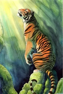 Мультяшный нарисованный тигр - 66 фото
