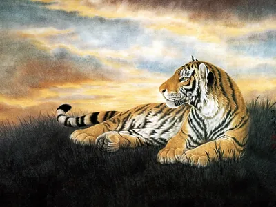 Тигр, нарисованный акварельным векторным иллюстратором | Премиум векторы