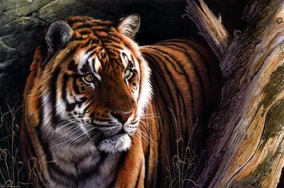 Салфетка на стол \"Тигр\" нарисованный тигр с листьями, белый фон, ПВХ, 45 х  30 см 7111069 | AliExpress