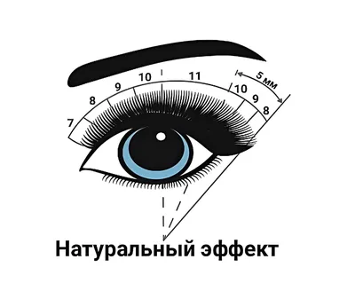 Естественное Наращивание ресниц. Не отличить от своих, максимально натуральный  эффект 🙌 Стоимость.. | ВКонтакте