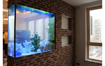 Плоский аквариум на стену в интернет-магазине Seaprice