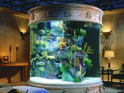 Субмарина аквариум-картина настенный по своим размерам