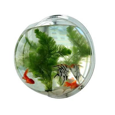 Настенная подвеска в виде рыбок, маленькая Прозрачная Круглая мини-аквариум  для гостиной, офиса, украшение для дома | AliExpress