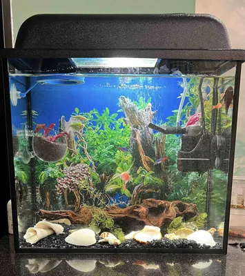 Горячая аквариума настенный чаша для аквариума настенный висячий горшок для  растений, украшение дома | AliExpress