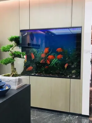 Оформим ваш аквариум