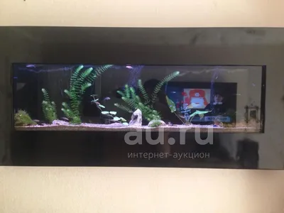 Настенный верхний и нижний шкаф для аквариума, боковая смотровая левая и  правая стена, индивидуальный экран для гостиной, аквариума, прихожей |  AliExpress
