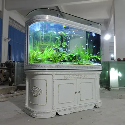 Акриловый настенный аквариум в форме полусферы, подвесной аквариум для  рыбной ловли, настенный подвесной аквариум, Золотая рыбка – купить по  низким ценам в интернет-магазине Joom