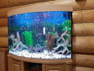 Купить аквариум-картина настенный с рыбками в Москве | \"Подводный мир\"