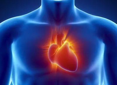 В США впервые трансплантировали полностью искусственное сердце | РБК Тренды