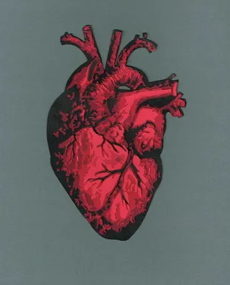 Настоящее человеческое сердце из …» — создано в Шедевруме