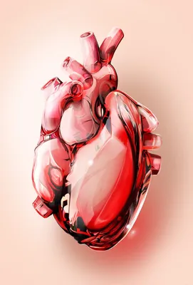 Сердце человека - красивые картинки (100 фото) - KLike.net