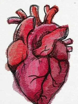 Сердце нарисованное настоящее - 94 фото