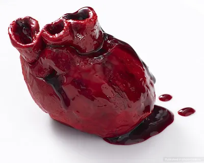 Ученые наконец узнали, почему у человека бьется сердце - Русская семерка