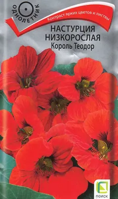 Семена цветов Поиск Настурция низкорослая Король Теодор, 1 г купить в  Москве по цене 23.00 р с доставкой в интернет-магазине | ФРОНТМАСТЕР