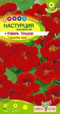 Купить Настурция низкорослая Король Теодор Поиск по цене 24 руб. в Иркутске  в интернет-магазине | РОЩА