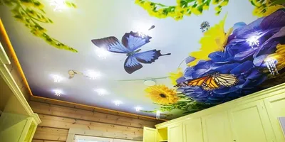Натяжной потолок с бабочками - Натяжные потолки - натяжные потолки по всей  Украине | Гарпун!