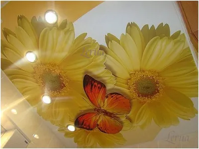 Натяжной потолок с бабочками в детскую комнату - МК Потолок