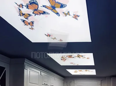 Натяжные потолки с фотопечатью бабочки | Смотреть 45 идеи на фото бесплатно