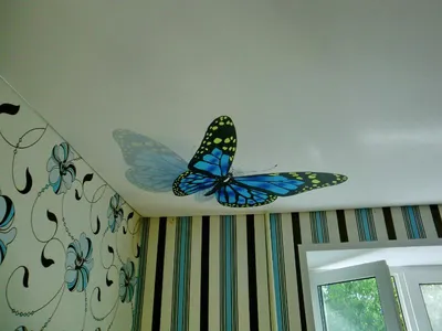 Бабочка на натяжном потолке | ЭЛИТ СТРОЙ