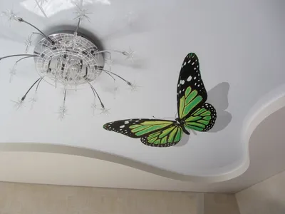 Натяжной потолок Бабочки - рисунки для фотопечати на натяжных потолках от  производителя Люсар в Москве