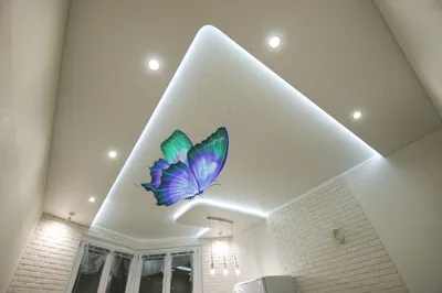 Новая коллекция 2014 года, бабочки для печати на натяжных потолках.  Заказать потолкок с фотопечатью | Фабрика Удивительных Потолков