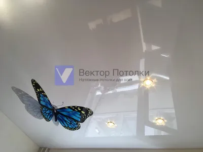 Натяжной потолок с фотопечатью Бабочки 005 - купить в интернет-магазине \"Потолки  Натяжные.ру\"