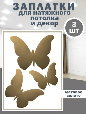 Бабочка на натяжном потолке: возможности современной фотопечати | AstamGROUP