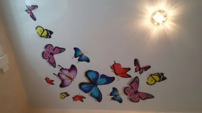 Белый натяжной потолок с фотопечатью бабочки