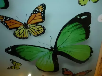 Натяжной потолок с фотопечатью - цветы и бабочки