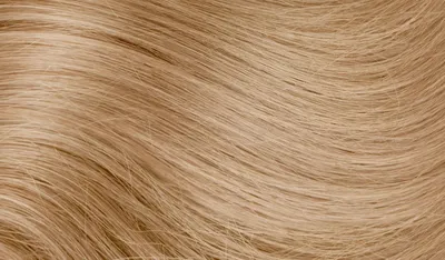 Купить недорого натуральные славянские волосы для наращивания в срезе цвет  №12 - Натуральный светло-русый