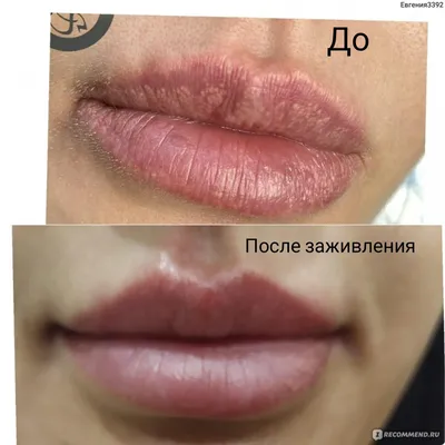 Татуаж губ фото до и после (+ 50 фото) | Макияж губ, Перманентный макияж,  Губы