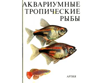 ТОП-5 самых красивых рыб для большого аквариума | Laguna