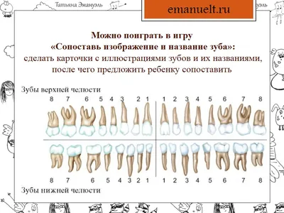 Адгезивный протез - Хирургическая стоматология