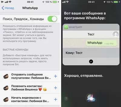 WhatsApp передумал по поводу «видеокружочков». Что произошло | РБК Life