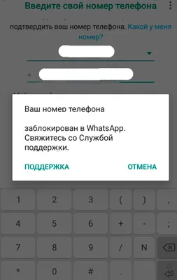 Вышло обновление Ватсап с функцией отправки фото без сжатия. Вот как это  работает | AppleInsider.ru