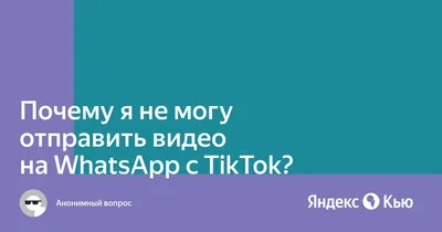 Как записывать кружочки в WhatsApp. Инструкция для тех, кто обновил  приложение - AndroidInsider.ru