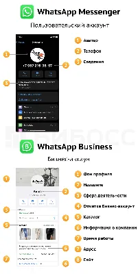 15 полезных функций WhatsApp, которые упрощают жизнь