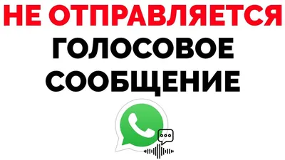 WhatsApp* разрешил пользователям iOS отправлять фото и видео в исходном  качестве в виде файла — Сервисы на vc.ru