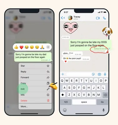 В Ватсап наконец можно изменить отправленное сообщение. Успеешь исправить  текст и не спалиться | AppleInsider.ru